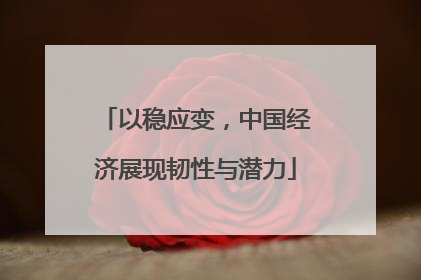 以稳应变,中国经济展现韧性与潜力