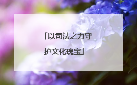以司法之力守护文化瑰宝