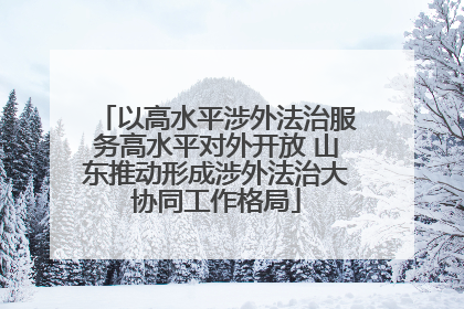 以高水平涉外法治服务高水平对外开放 山东推动形成涉外法治大协同工作格局