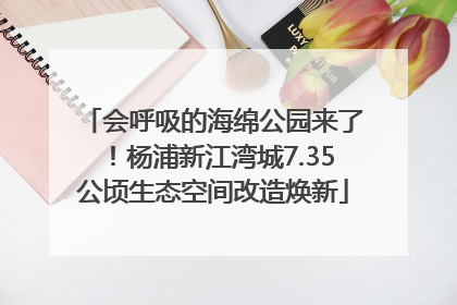 会呼吸的海绵公园来了！杨浦新江湾城7.35公顷生态空间改造焕新