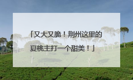 又大又脆！荆州这里的夏桃主打一个甜美！