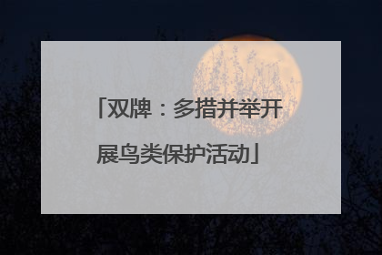 双牌：多措并举开展鸟类保护活动