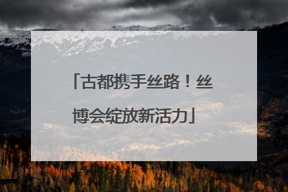 古都携手丝路！丝博会绽放新活力