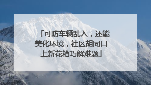 可防车辆乱入，还能美化环境，社区胡同口上新花箱巧解难题