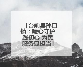 台前县孙口镇：暖心守护践初心 为民服务显担当