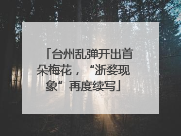 台州乱弹开出首朵梅花，“浙婺现象”再度续写