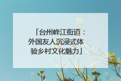 台州峰江街道：外国友人沉浸式体验乡村文化魅力