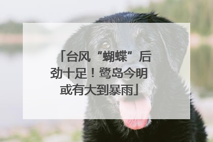 台风“蝴蝶”后劲十足！鹭岛今明或有大到暴雨