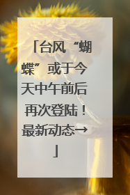 台风“蝴蝶”或于今天中午前后再次登陆！最新动态→