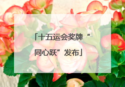 十五运会奖牌“同心跃”发布