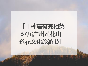 千种莲荷亮相第37届广州莲花山莲花文化旅游节