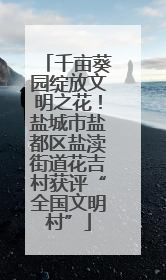 千亩葵园绽放文明之花！盐城市盐都区盐渎街道花吉村获评“全国文明村”