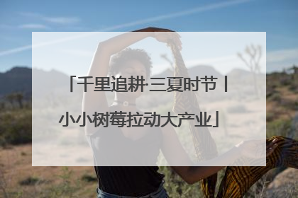 千里追耕·三夏时节丨小小树莓拉动大产业