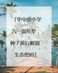 华中里小学六一嘉年华：种子旅行解锁生态密码