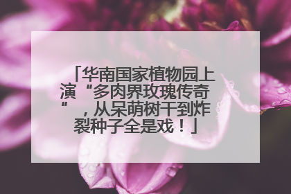 华南国家植物园上演“多肉界玫瑰传奇”，从呆萌树干到炸裂种子全是戏！