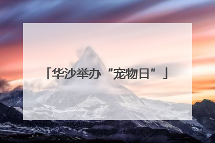 华沙举办“宠物日”