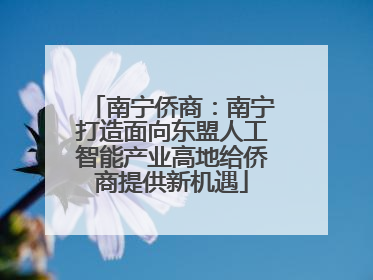 南宁侨商：南宁打造面向东盟人工智能产业高地给侨商提供新机遇