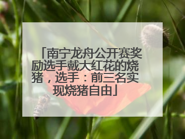南宁龙舟公开赛奖励选手戴大红花的烧猪，选手：前三名实现烧猪自由