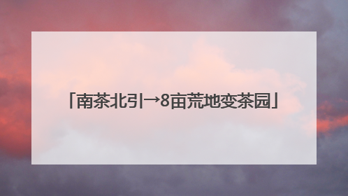 南茶北引→8亩荒地变茶园
