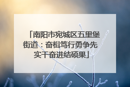 南阳市宛城区五里堡街道：奋楫笃行勇争先 实干奋进结硕果
