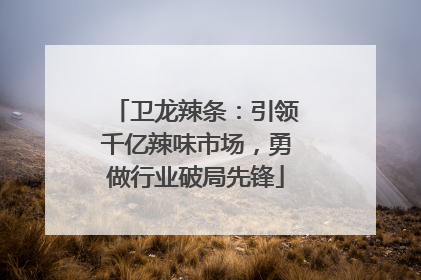 卫龙辣条：引领千亿辣味市场，勇做行业破局先锋