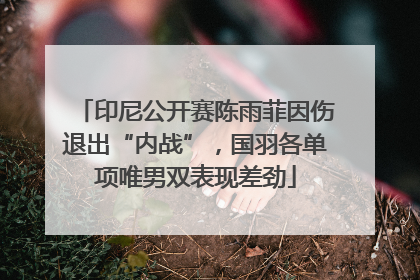 印尼公开赛陈雨菲因伤退出“内战”，国羽各单项唯男双表现差劲