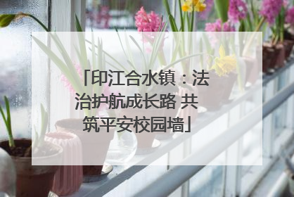 印江合水镇：法治护航成长路 共筑平安校园墙