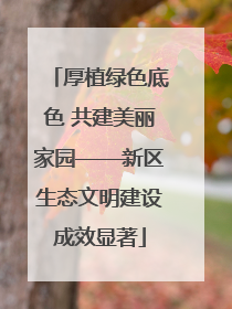 厚植绿色底色 共建美丽家园——新区生态文明建设成效显著