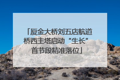 厦金大桥刘五店航道桥西主塔启动“生长” 首节段精准落位