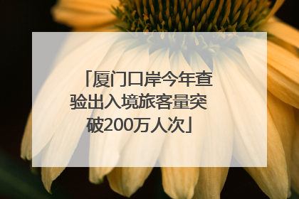 厦门口岸今年查验出入境旅客量突破200万人次