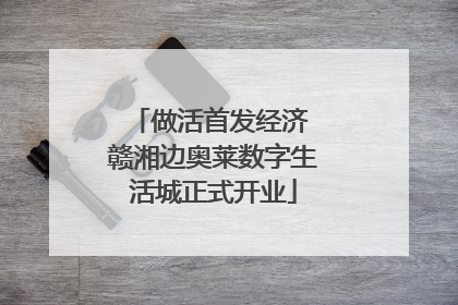 做活首发经济 赣湘边奥莱数字生活城正式开业