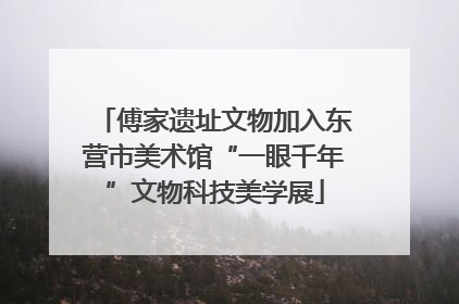 傅家遗址文物加入东营市美术馆“一眼千年”文物科技美学展
