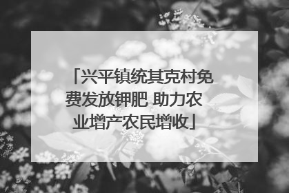 兴平镇统其克村免费发放钾肥 助力农业增产农民增收