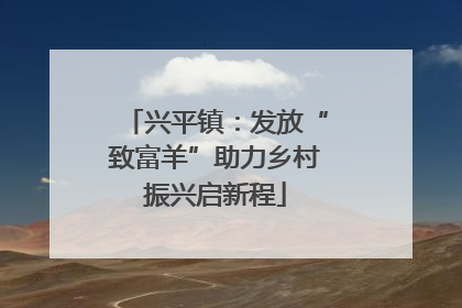兴平镇：发放“致富羊”助力乡村振兴启新程