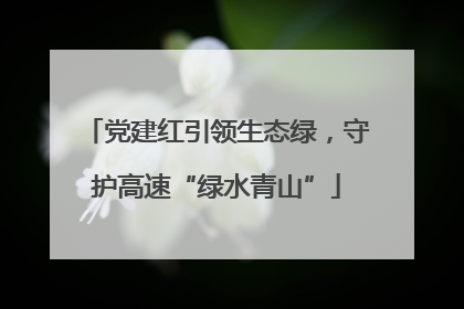 党建红引领生态绿，守护高速“绿水青山”