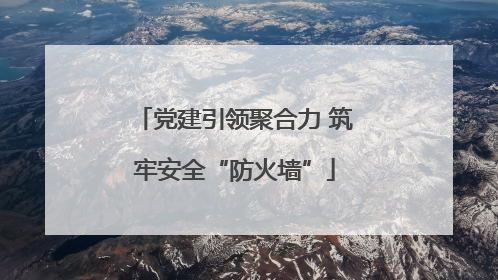 党建引领聚合力 筑牢安全“防火墙”