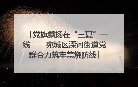 党旗飘扬在“三夏”一线——宛城区溧河街道党群合力筑牢禁烧防线