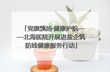 党旗飘扬·健康护航——北海医院开展进盐企筑防线健康服务行动