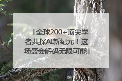全球200+顶尖学者共探AI新纪元！这场盛会解码无限可能