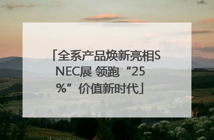 全系产品焕新亮相SNEC展 领跑“25%”价值新时代