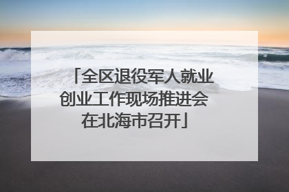 全区退役军人就业创业工作现场推进会在北海市召开
