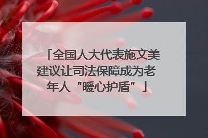 全国人大代表施文美建议让司法保障成为老年人“暖心护盾”