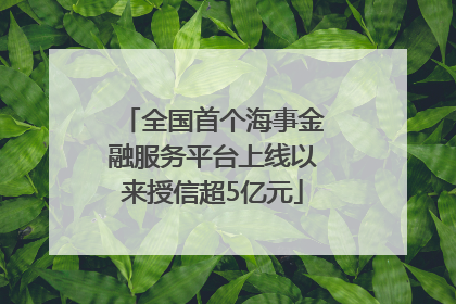 全国首个海事金融服务平台上线以来授信超5亿元
