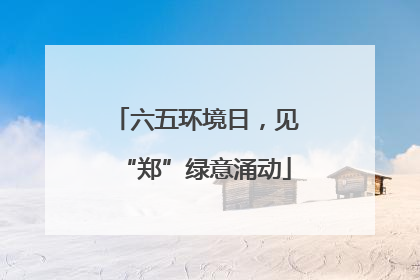 六五环境日，见“郑”绿意涌动