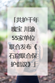 共护千年瑰宝 川渝55家单位联合发布《石窟联合保护倡议》