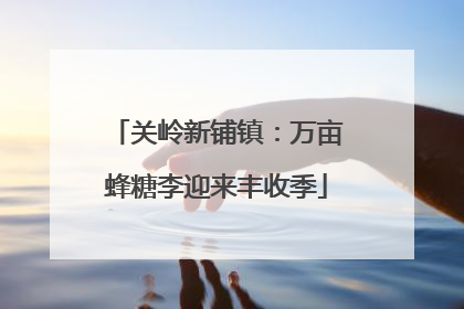 关岭新铺镇：万亩蜂糖李迎来丰收季