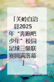 关岭自治县2025年“奔跑吧少年”校园足球三级联赛圆满落幕