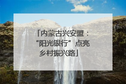 内蒙古兴安盟：“阳光银行”点亮乡村振兴路
