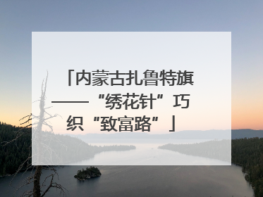 内蒙古扎鲁特旗——“绣花针”巧织“致富路”