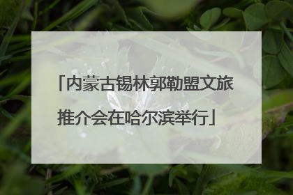 内蒙古锡林郭勒盟文旅推介会在哈尔滨举行
